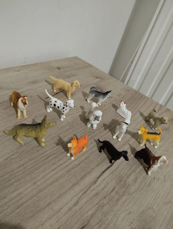 Lot races de chien miniatures