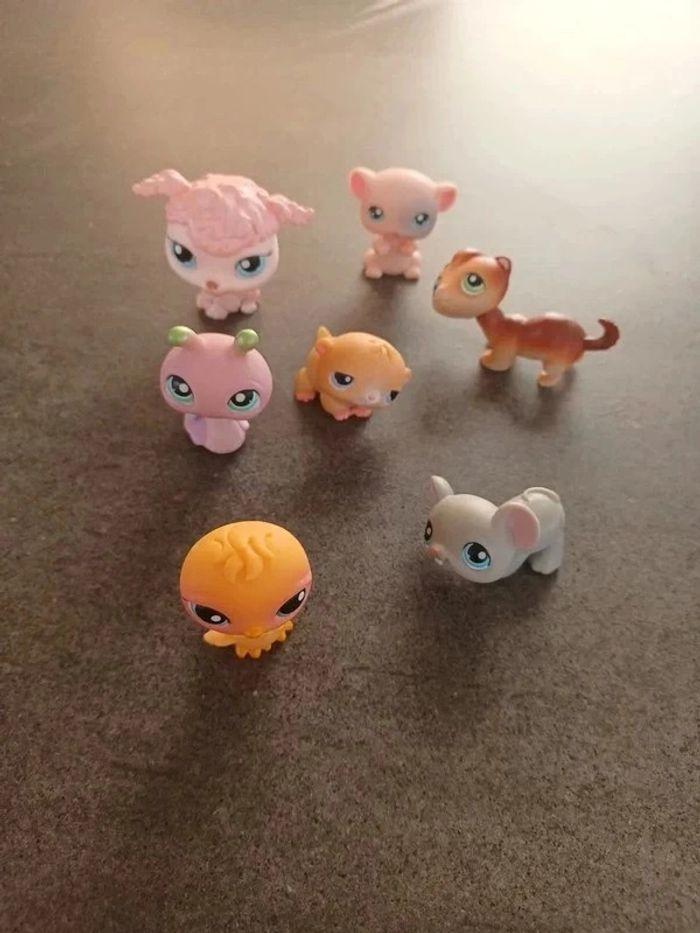 Lot little petshop - photo numéro 3