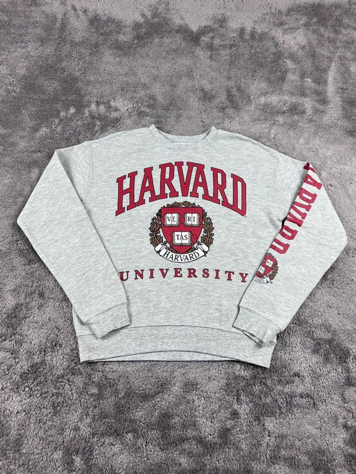 👕 Sweat à capuche Veste University Rare Vintage y2k 90s 2000s Harvard Gris Taille S 👕 - photo numéro 1