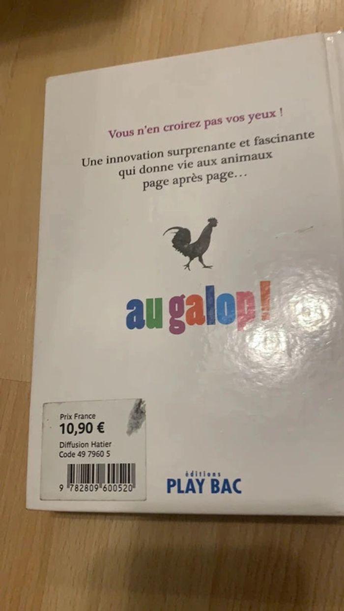 Livre au galop, le premier livre qui bouge - photo numéro 4