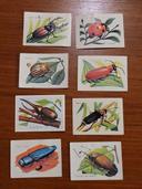 8 bon points d'école - insectes - vintage