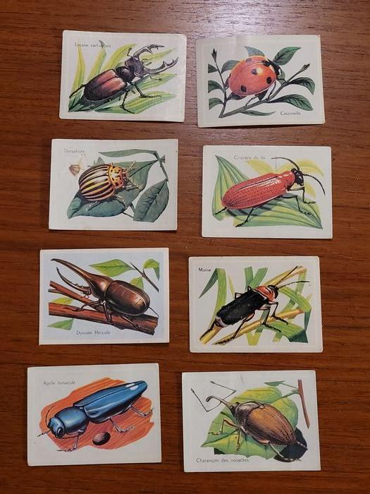 8 bon points d'école - insectes - vintage - photo numéro 1