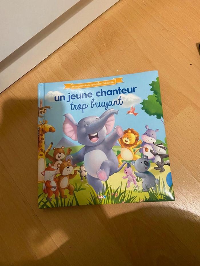 📚Livre un jeune chanteur trop bruyant très bon état 📚 - photo numéro 2