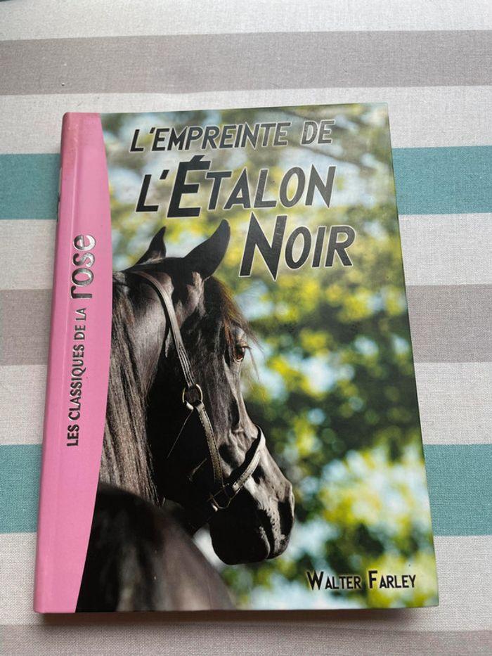 livre l'étalon noir - photo numéro 1