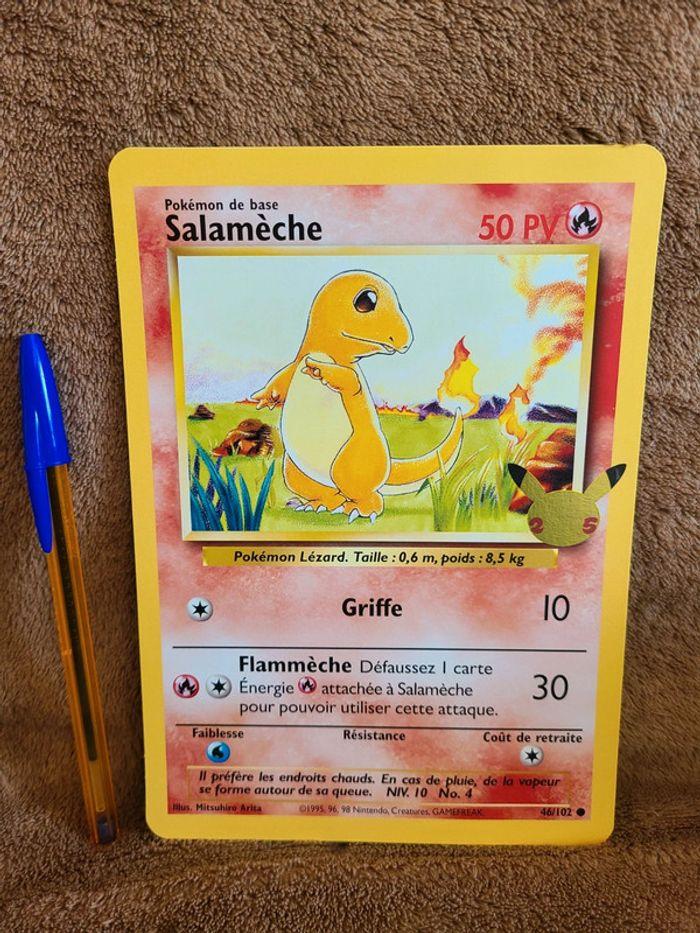 Grande carte pokémon