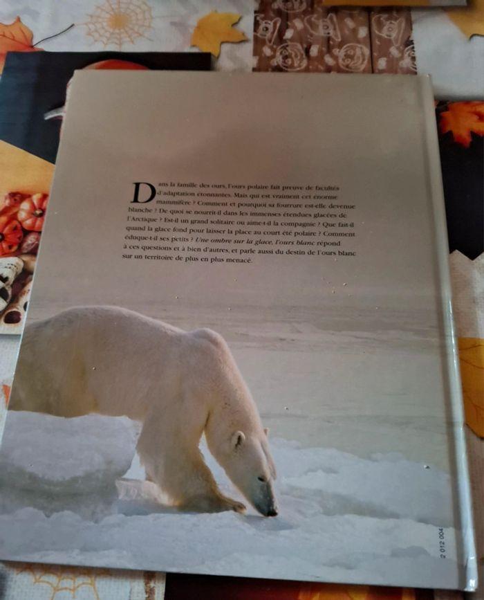 Livre  une ombre  sur  la glace l'ours blanc - photo numéro 2