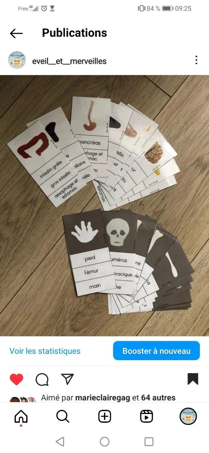 Cartes à pinces corps humain + 6 pinces