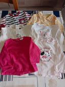 Lot tee shirt ( 142 bis )