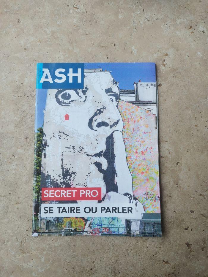 ASH actualités sociales Hebdomadaires Secret pro Se taire ou parler - secret professionnel - photo numéro 1