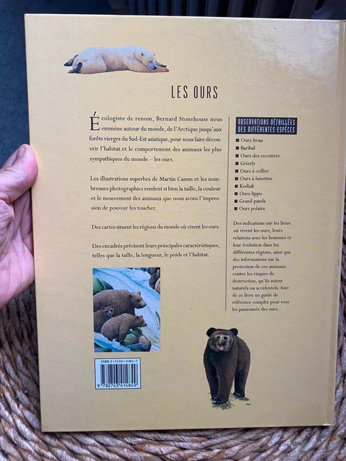 Les ours - photo numéro 2