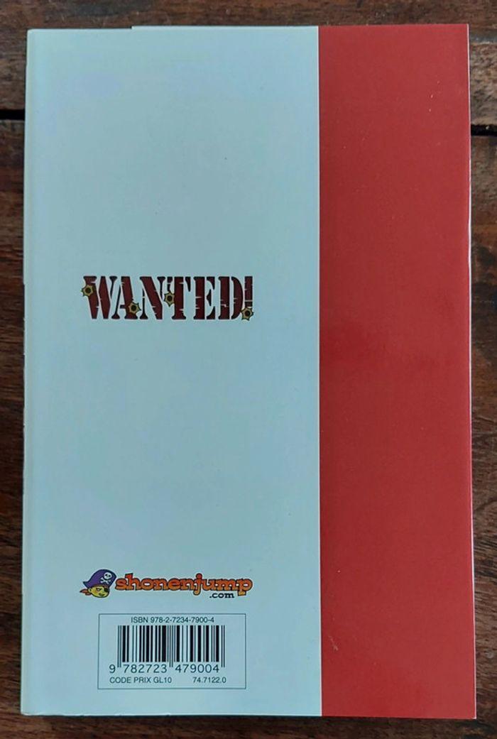 One Piece Wanted - photo numéro 2