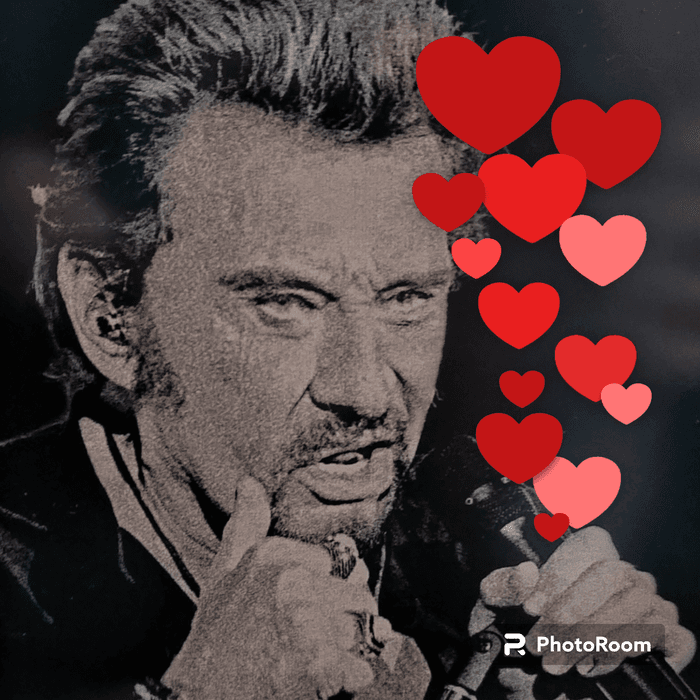 Johnny Hallyday - photo numéro 1