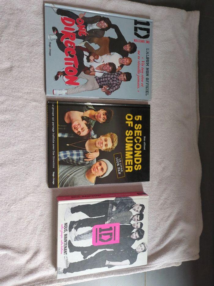 Livres sur les one direction - photo numéro 1