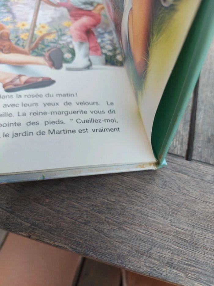 Lot livre Martine et Jean Lou et Sophie - photo numéro 12