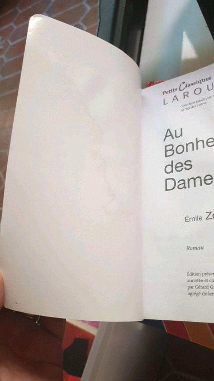 Livre au bonheur des dames - photo numéro 3