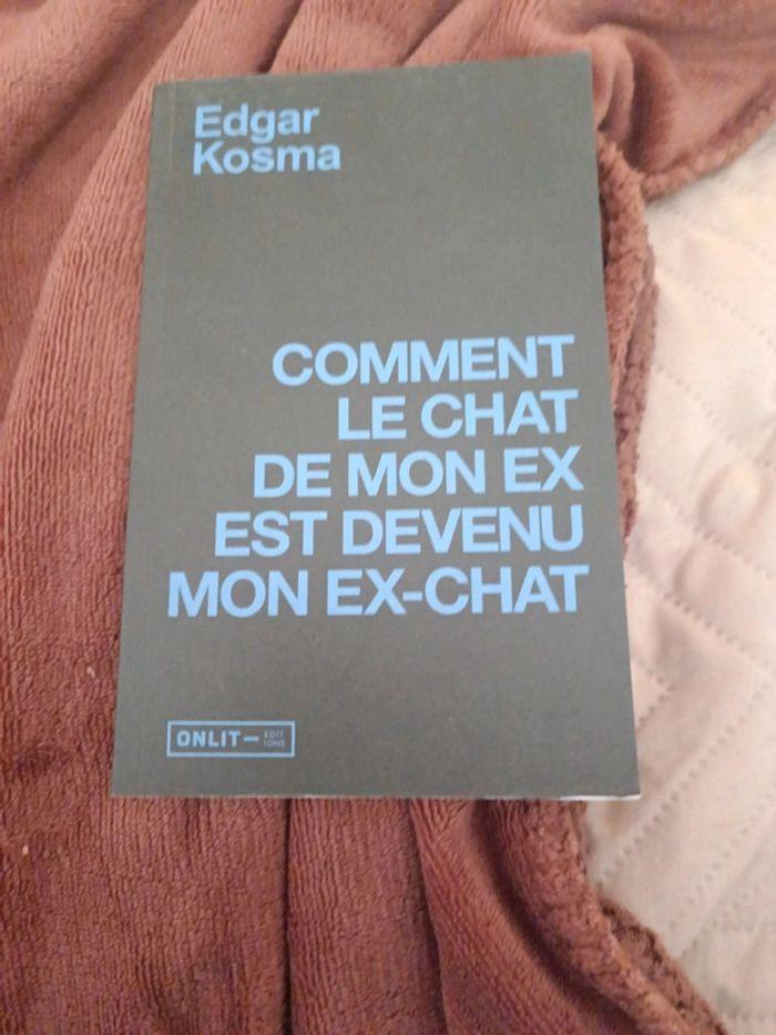 Livre : comment le chat de mon ex est devenu mon ex chat - photo numéro 1