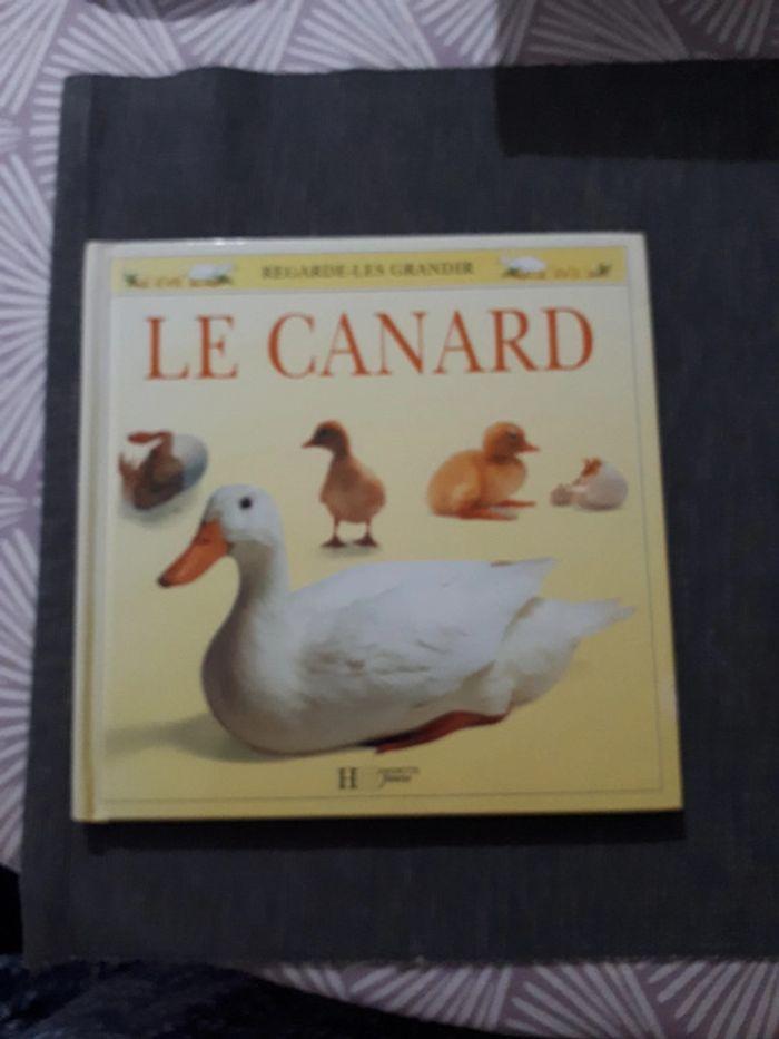 Livre enfant Le canard Regarde-les grandir - photo numéro 1