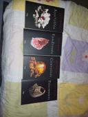 Lot de 4 livres de Tracy Wolff