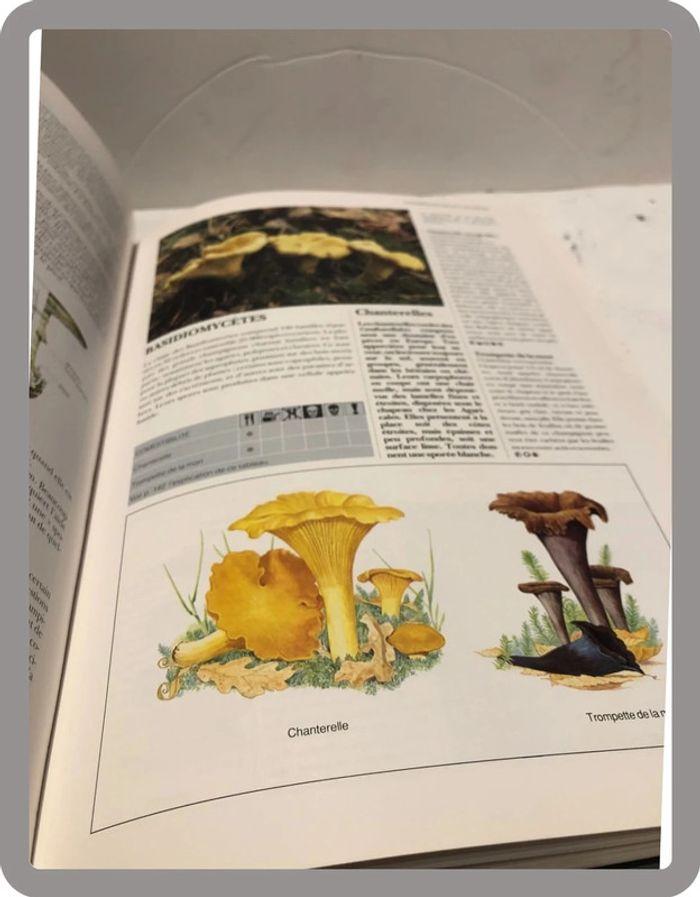 Livre nature Histoire naturelle illustrée de France et D’Europe - photo numéro 11