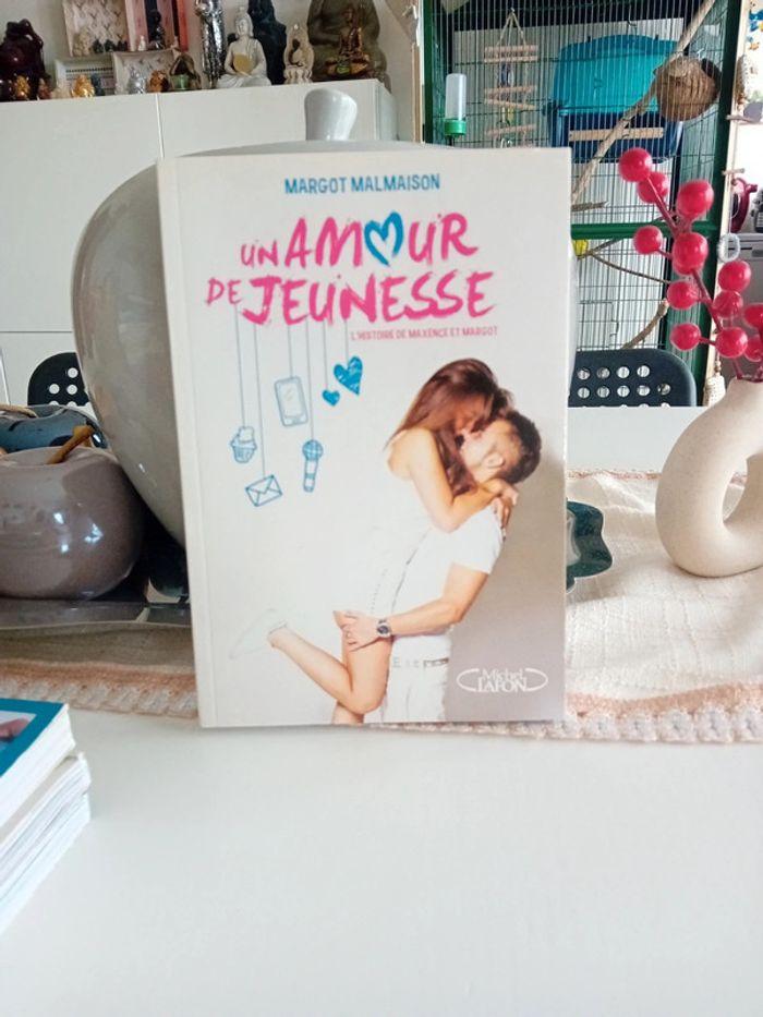 Livre Un amour de jeunesse - photo numéro 1