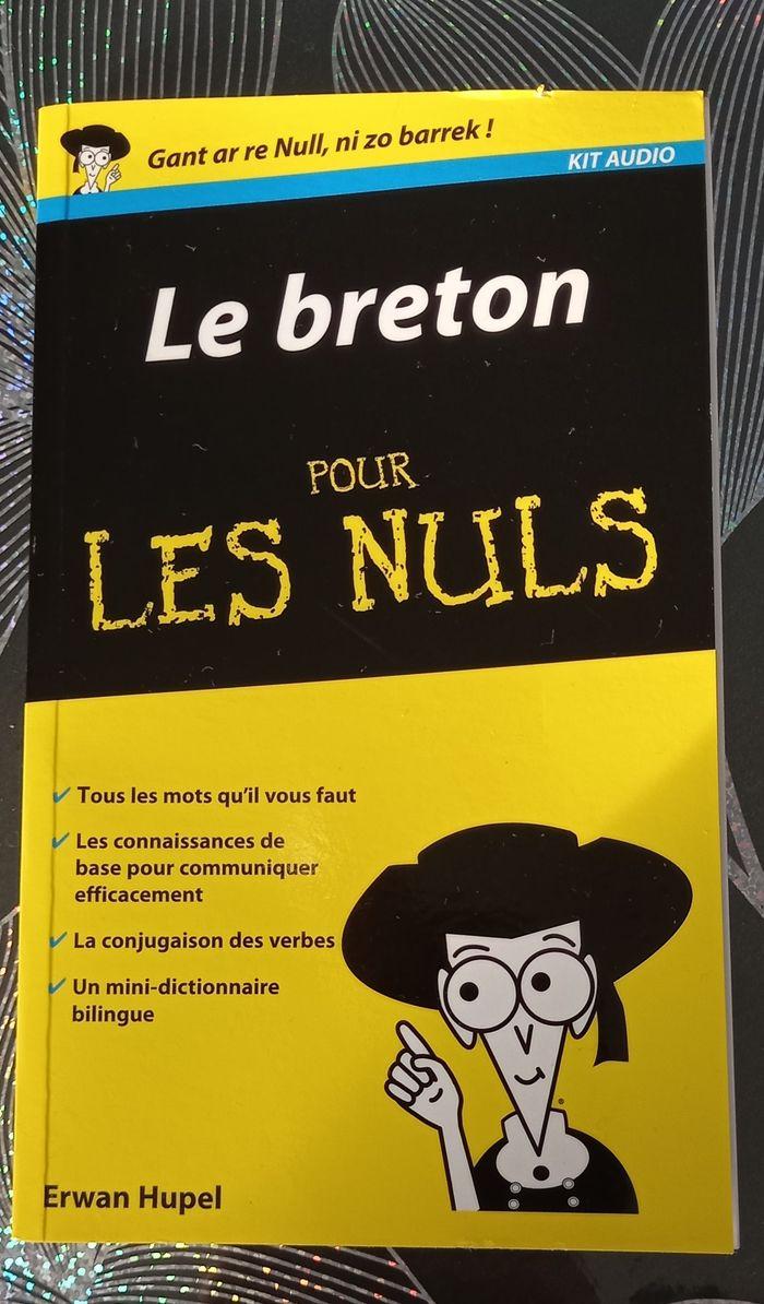 Livre Le breton pour les nuls - photo numéro 1