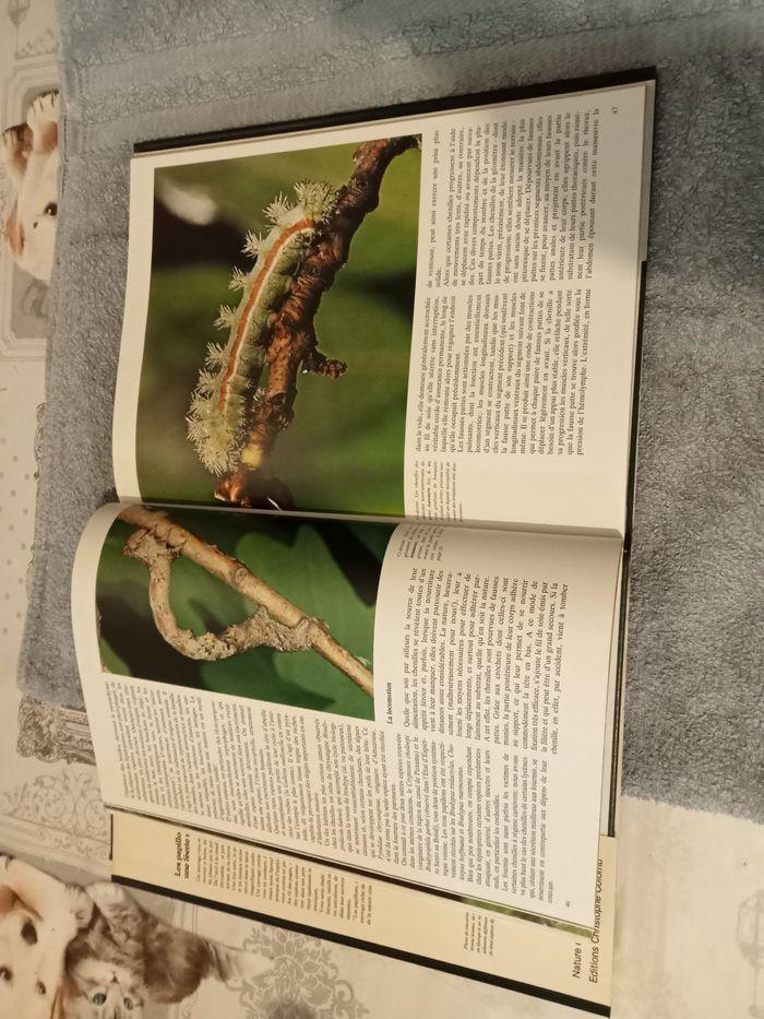 Livre sur les papillons - photo numéro 3