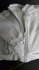 Gilet gris