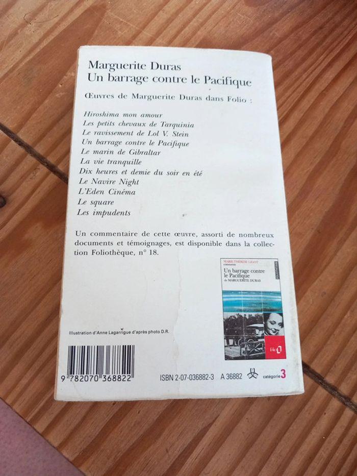 Un barrage contre le Pacifique - photo numéro 2