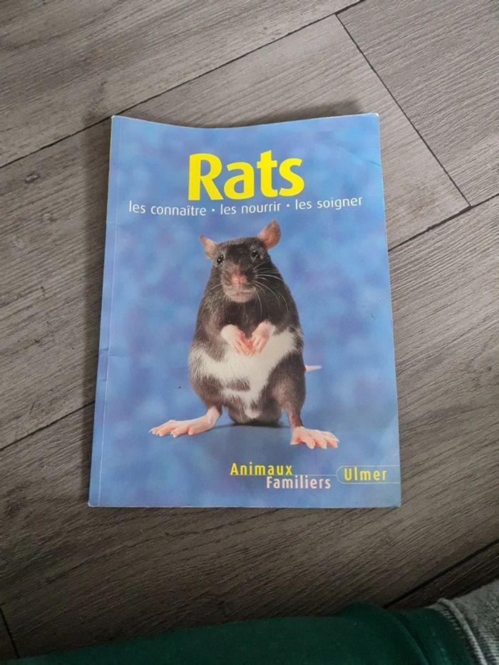 Livre rats domestiques - photo numéro 1