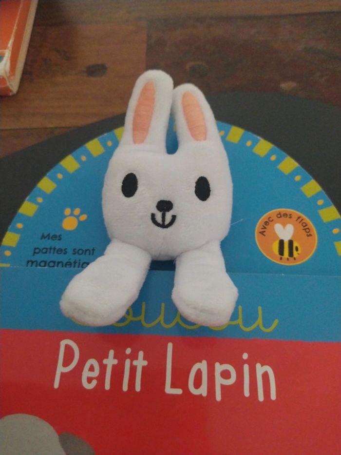 Coucou petit lapin - photo numéro 2