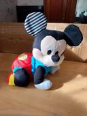 Mon premier mickey