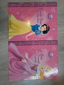 4 livres Mon club princesse