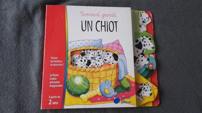 livre chiot - photo numéro 1