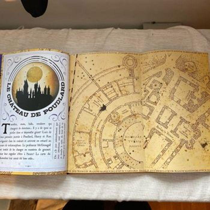 Harry Potter livre gaillard jeunesse - photo numéro 5