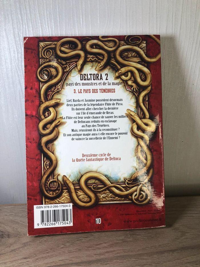 Livre fantastique fantasy donjon rpg la quête de deltora le pays des ténèbres - photo numéro 2