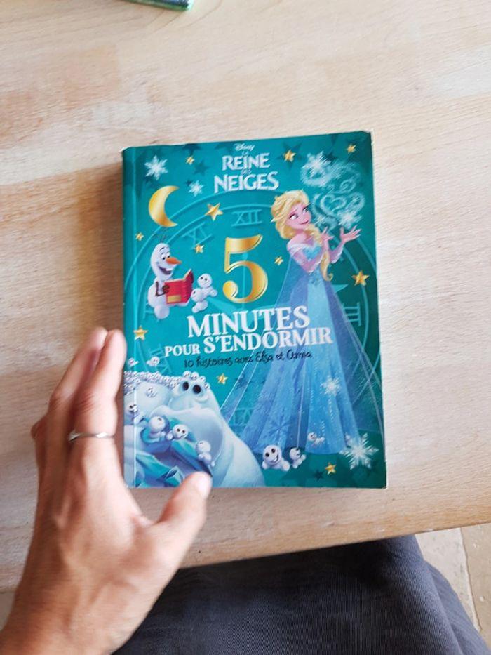 2 livres La Reine des neiges + 1 offert - photo numéro 10