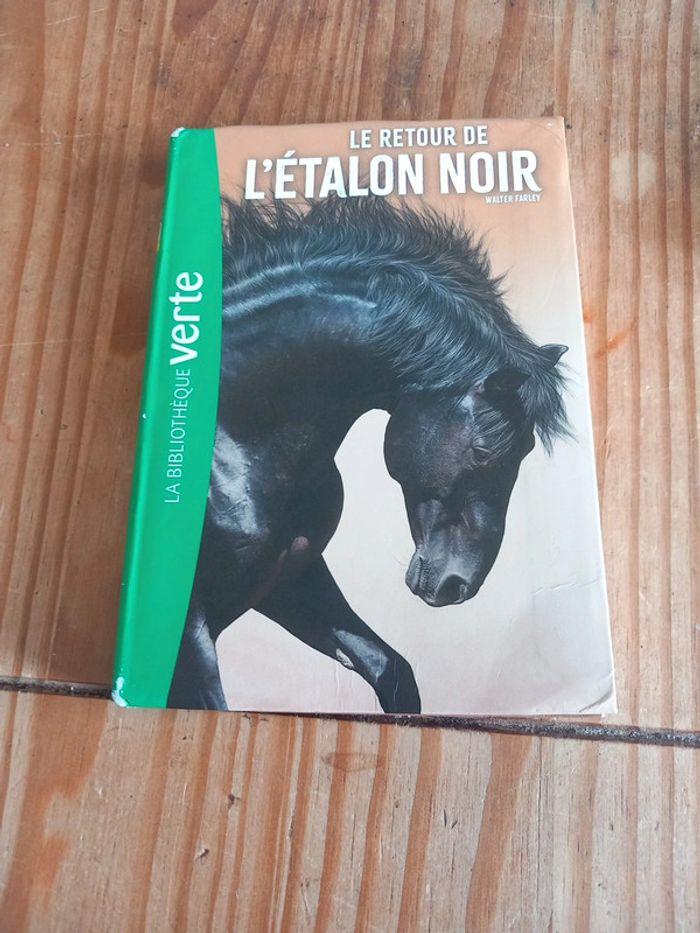 Le Retour de l'étalon noir. - photo numéro 1