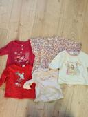 Lot de 5 t-shirt manches longues