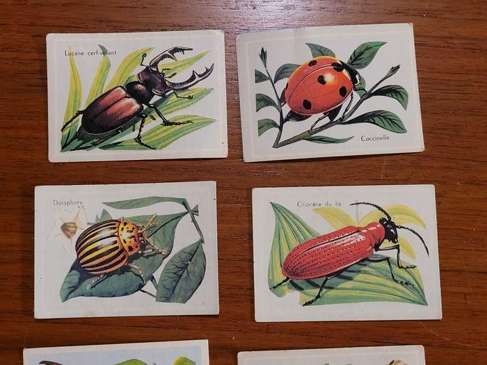 8 bon points d'école - insectes - vintage - photo numéro 2