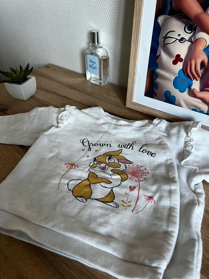 Pull Disney baby 6 mois - photo numéro 2