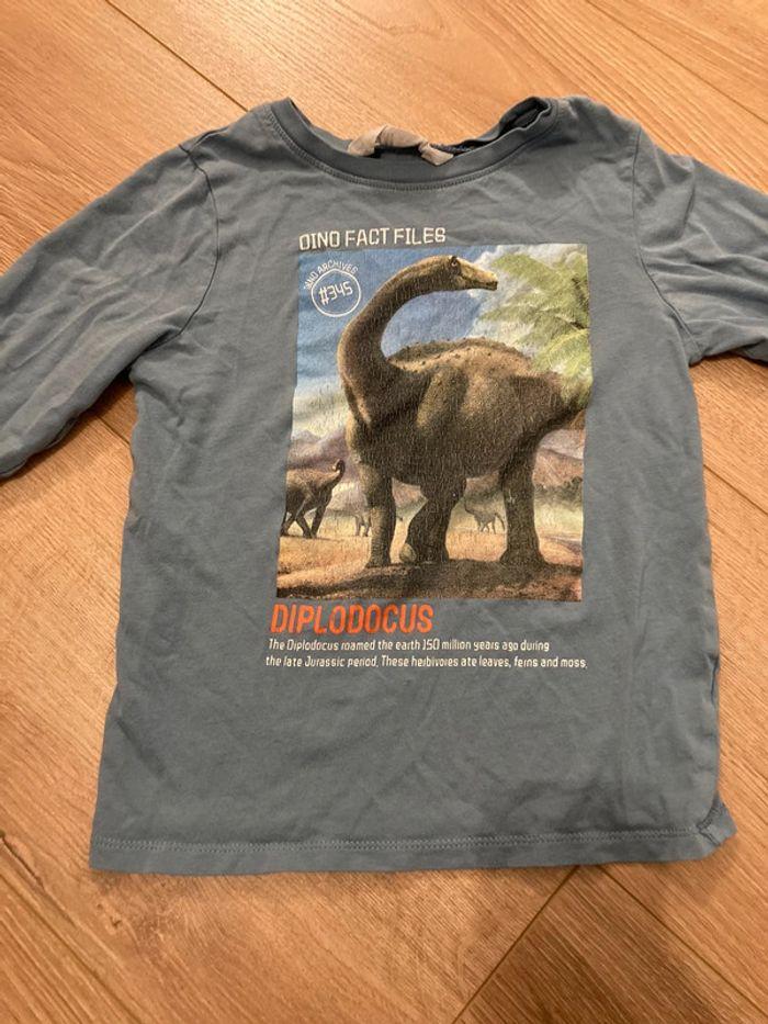 Lot 5 t-shirt 6 ans thème dinosaure - photo numéro 2