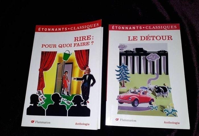 📚Lot de 2 livres : Rire : pour quoi faire ? + Le détour - photo numéro 1