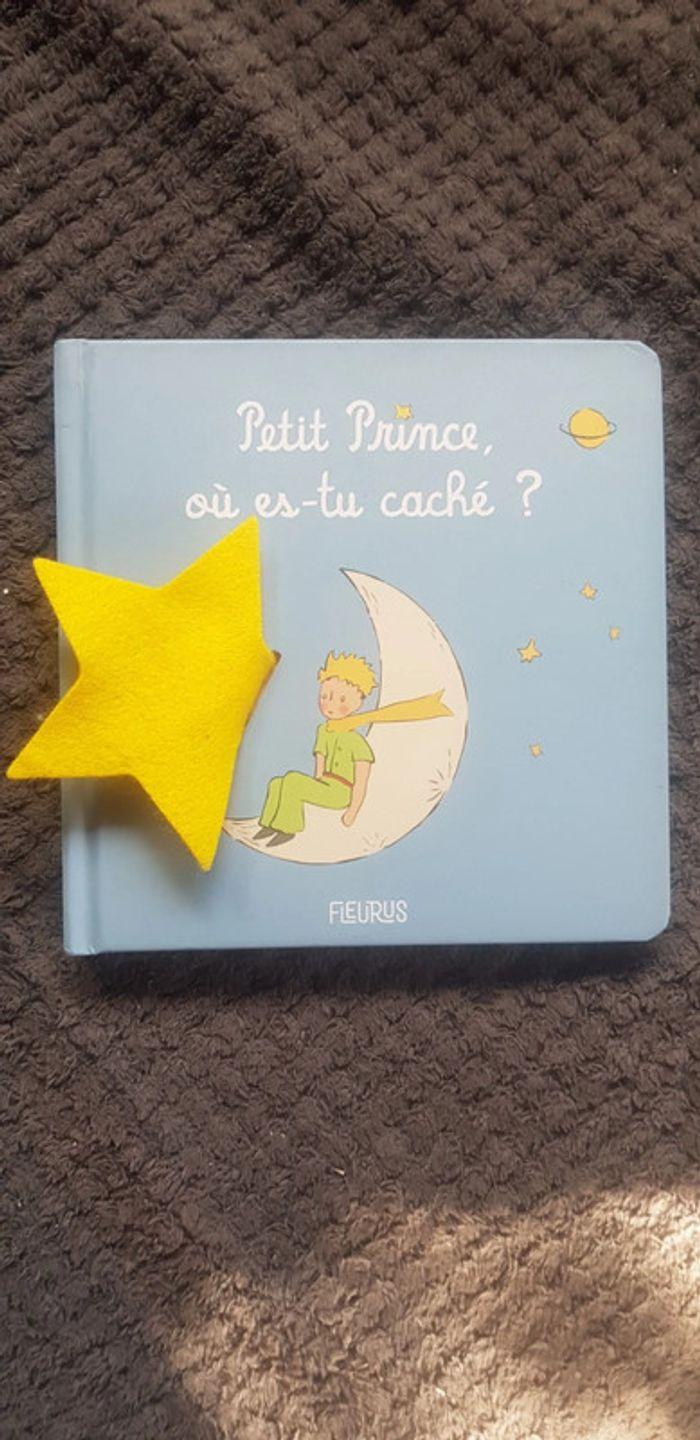 Petit Prince, où es-tu caché ? - photo numéro 2