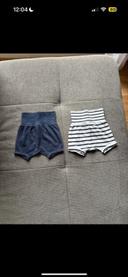 Lot 2 Shorts