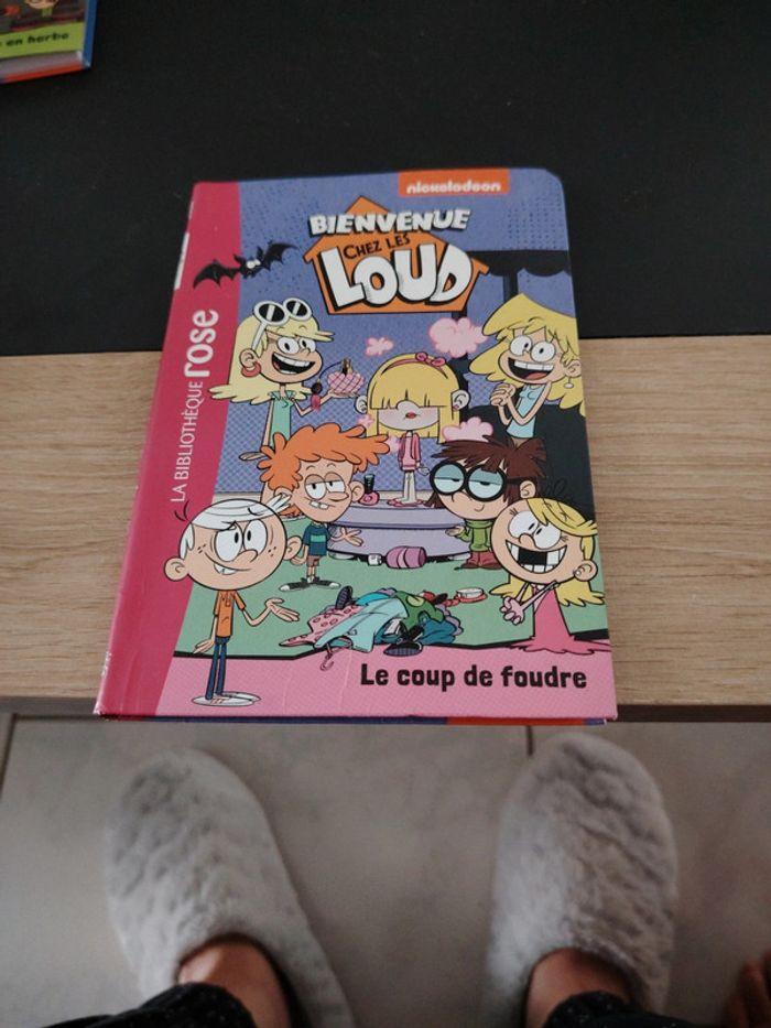 Livre bienvenue chez les loud tome 17 - photo numéro 1