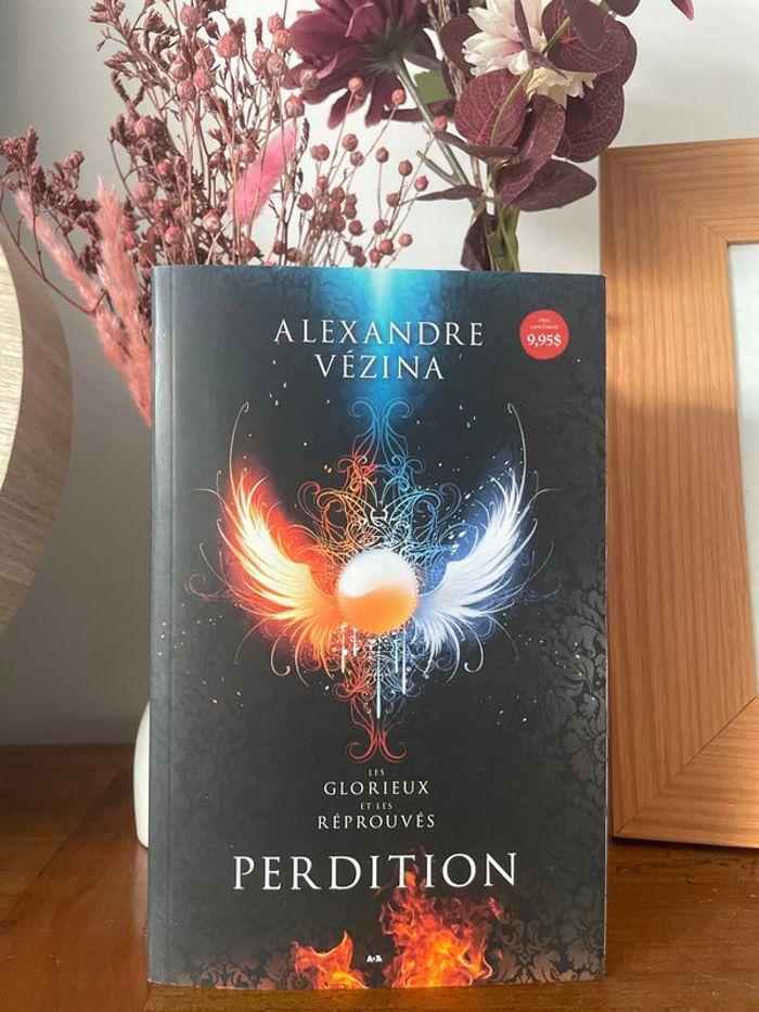 Livre Perdition de Alexandre Vezina - photo numéro 1