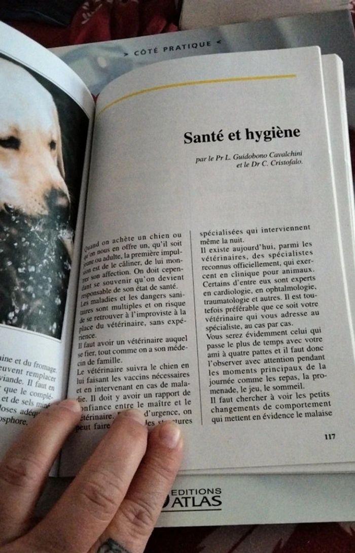 Livre le labrador - photo numéro 4