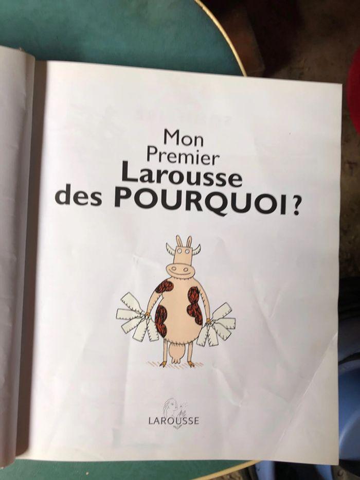 Mon premier Larousse Pourquoi ? - photo numéro 6