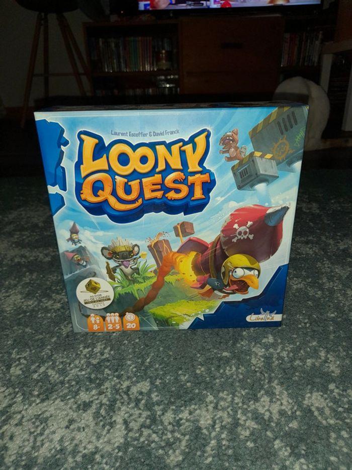 Loony quest - photo numéro 17