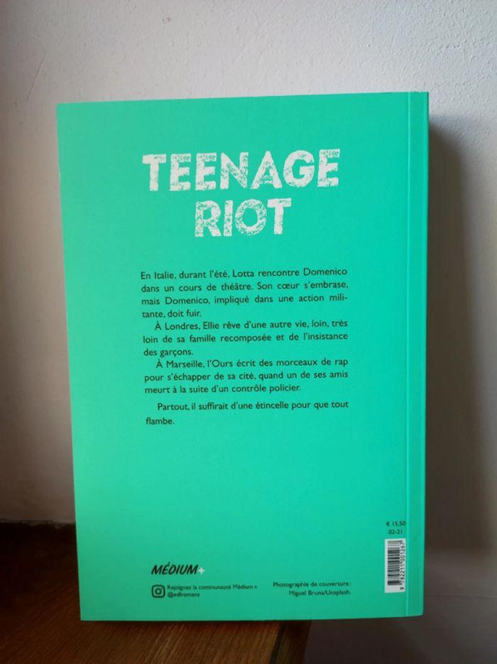 Livre "teenage riot" d'Olivier de Solminihac et Éric Pessan - photo numéro 2